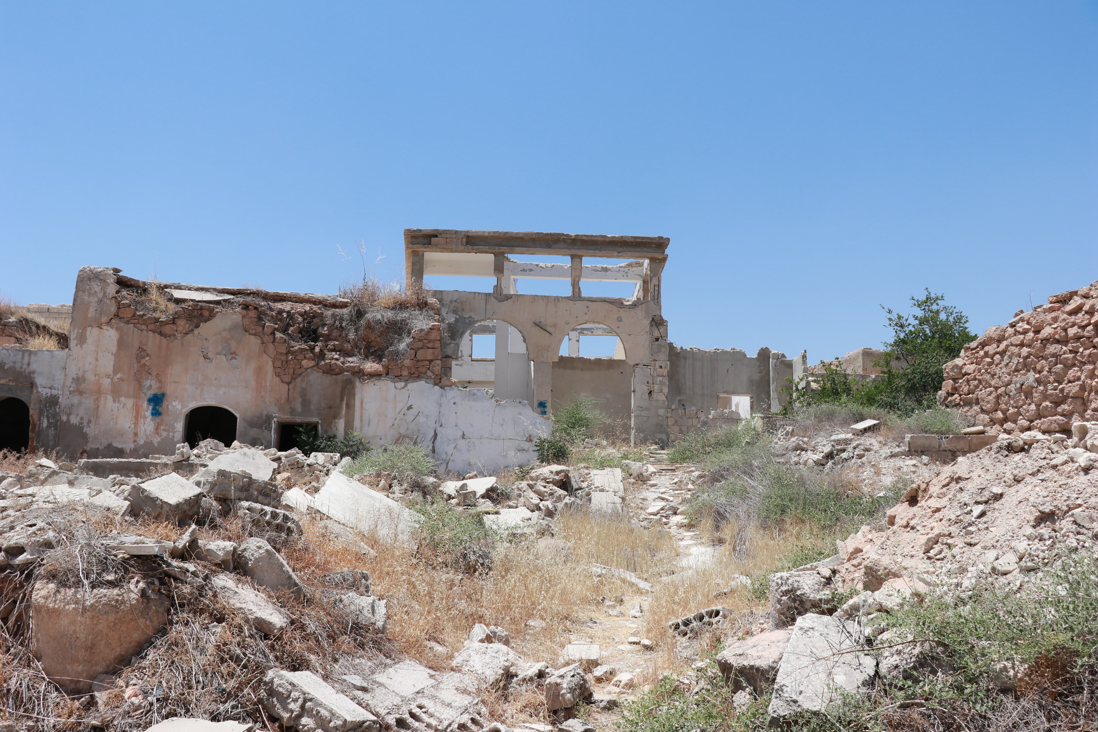 0ca94bc7_7d30_4d8a_88a7_fad9f8311adf_img_7781.JPG